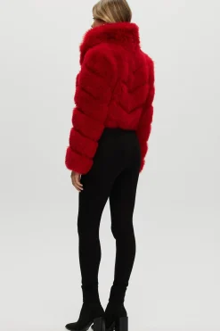 Select Cashmere Goat Bolero