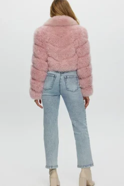 Select Cashmere Goat Bolero